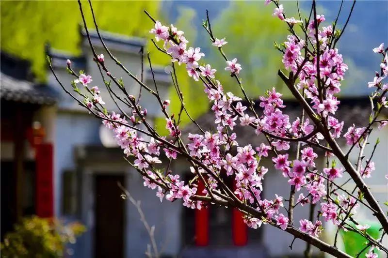 腾博会官网 - 诚信为本,专业服务!