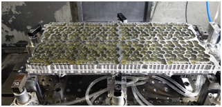 腾博会官网 - 诚信为本,专业服务!