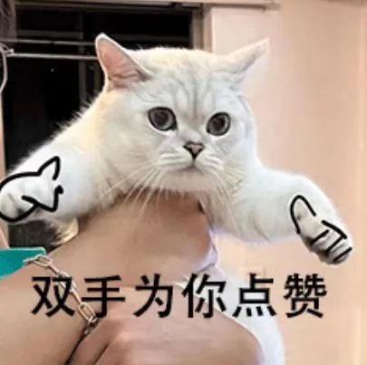 腾博会官网 - 诚信为本,专业服务!