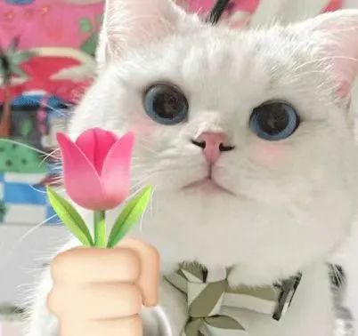 腾博会官网 - 诚信为本,专业服务!