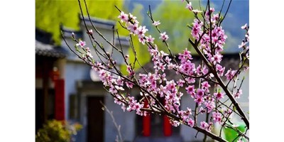 阳春三月，腾博会官网精机一大波展会即将来袭，您筹备好了吗？